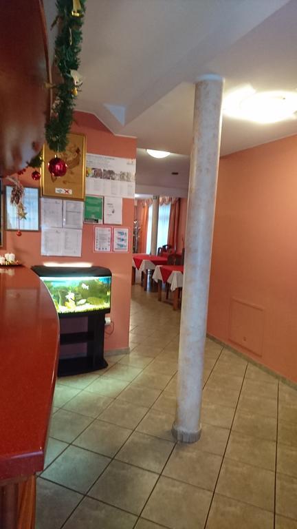 Penzion Zeleni Kakadu Maribor Extérieur photo